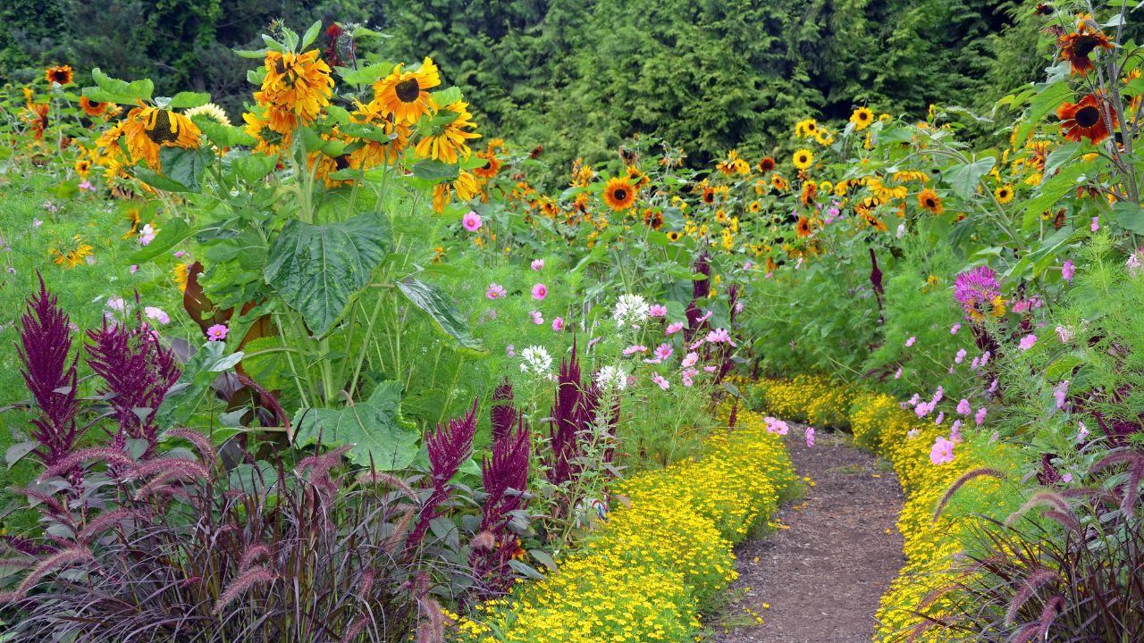 KEY 7_ THE GARDEN Happy For No Reason
